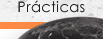 pr&aacute;cticas