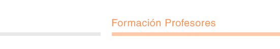 formaci�n profesores
