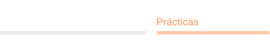 pr&aacute;cticas